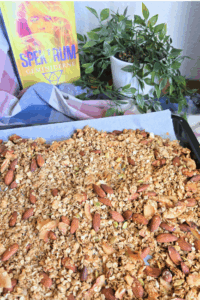Granola