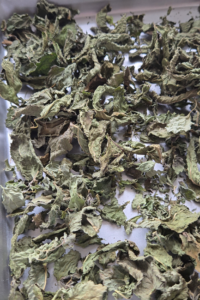 Matcha pulver